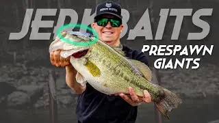 Giant Prespawn Bass on Jerkbaits