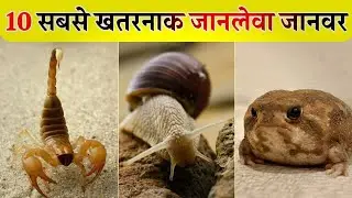 दुनिया के 10 सबसे जानलेवा जीव | 10 Deadliest Creatures of the World