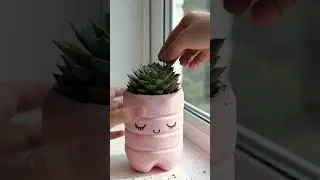 Cutest DIY Plant Pot from a Bottle! 🌱