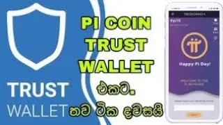 beware of pi network and trust wallet