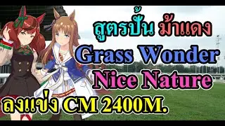 สูตรปั้นม้าแดง Grass Wonder และ Nice Nature ลงแข่ง CM 2400 M. Uma Musume: Pretty Derby