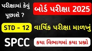 STD 12 SPCC BLUEPRINT ANNUAL EXAM 2025 | DHORAN 12 SPCC BOARD EXAM 2025 BLUEPRINT @SSEducation