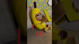 Banana Cat and Low Battery | Very Whiny Situation 3.0