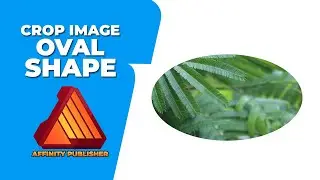 How to crop image into oval shape in affinity publisher