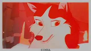 Балто,Дженна и Стил-Шиншиллы