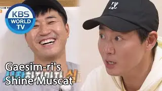 Gaesim-ri's Shine Muscat (2 Days & 1 Night Season 4) | KBS WORLD TV 201129
