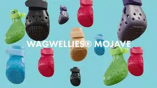 The best dog shoe for summer!☀️