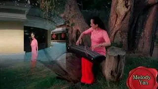 Game of Theme Thrones --Melody Yan Guzheng Cover