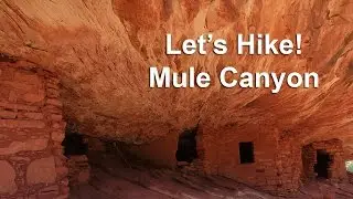 Let's Hike! Mule Canyon