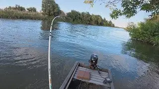 Fall Feeding Frenzy! Catching Carp and Fish with Beetle Larva in Astrakhan