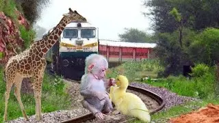 Giraffe try to stop the Train | Giraffe - train | ديناصورات غاضبة|Funtooz Tv | Deneal Vision | Train
