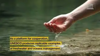 Global Change and its Effects on Freshwater and Ocean Systems