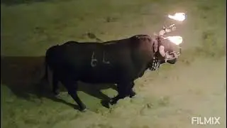 Embolada del Nu&ntilde;ez del Cuvillo en Faura