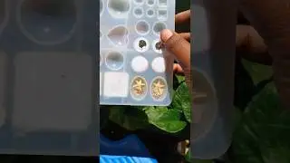 Let's demould floral studs| Petal and Pearl| #ytshorts #resinjewellery #resincrafts