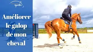 Improving your horse's canter