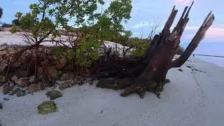 Bowditch Park, Fort Myers Beach