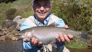 SOTF: Fly fishing Southwest Virginia