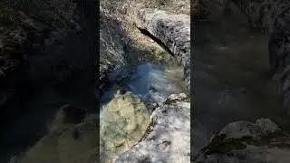 Spring Melt at a Cave Entrance (Eramosa Karst Conservation Area)