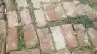 Khfd