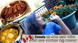 Odia Garden ଦେଖନ୍ତୁ Canada ରେ ମୋର ଛୋଟ ବଗିଚା ସୁଜି କଦଳୀ କେକ ଚମପାରନ ଅଣ୍ଡା ତରକାରୀ #sujibananacake