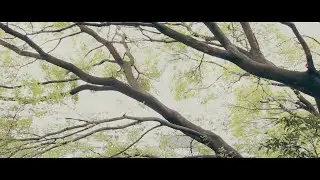 ZORN / 2 Da future [Pro.CAMEL / Dir. 金 允洙] Official Music Video ℗2014 昭和レコード