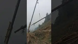 Cranes, lifting and transporting timber#wood #logging #tree #timber #crane #machine #treecutting