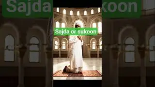 sajda or sukoon Islamic guide #viral#islamic#sajda #sukoon