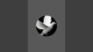 🕊️उड़ान 🕊️ is live!