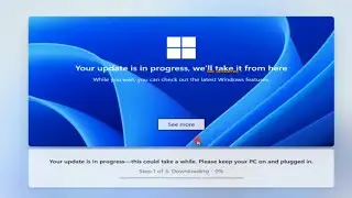 Your update is in progress We'll take it from Windows 11