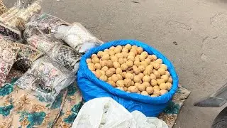 Ye dekho ye kaise akhrot h😱😂 #dailyvlog #viral #vlogs #akhrot #walnut 