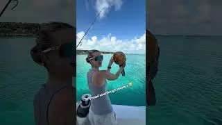 Личный шеф-повар на яхте на удалённых островах! #парусныйспорт #багамы #нижняяпалуба #яхта #шеф-п...