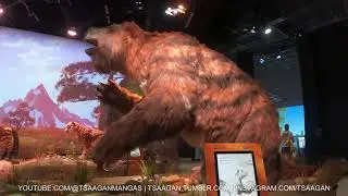 Megatherium  | Jääkauden jättiläiset | Heureka | 2025