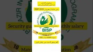 Benazir income support program jobs 2025 | BISP data entry executive jobs 2025 #bisp #2025jobs
