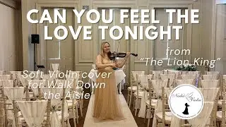 Can You Feel The Love Tonight - soft violin cover for Walk Down The Aisle 🎻💍