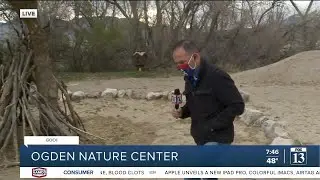 Rich explores the playscape at Ogden Nature Center
