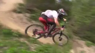 The Green Zone
