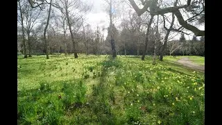 Lockdown Spring, April 2020