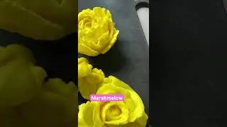 #shorts  #cakemaker175  #marshmello  #flover  #sweet