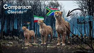 Cheetah Population Comparison by Country (2025)