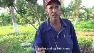 Home Grown Cuba