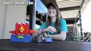 RoboGames 2012: интервью с RobotGrrl