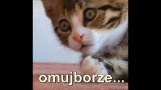 🔴🔴🔴 OMUJBORZE - POWR&Oacute;T KR&Oacute;LA! 🔴🔴🔴