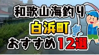 【永久保存版】和歌山県「白浜町」おすすめ海釣りスポット12選