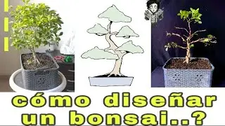 🌳como 🌳DISEÑAR ✂️un BONSAI paso a Paso árbol DURÁNTA de Jardín de VIVERO a Bonsai