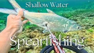 SPEARFISHING SHALLOW WATERS - BALI
