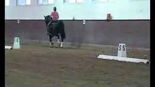 Tartan Special - Piaffe/Passage Training