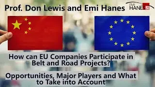 Prof. Don Lewis: How can EU Companies Participate in BRI Projects