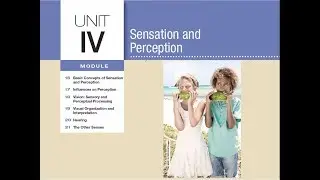 #APPsychology #APPsych Module 19: Visual Organization and Interpretation