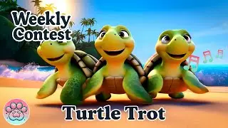 🌴 Turtle Trot 🐢 Island Sunshine Shuffle | Fluffy Paws Competition 🐾✨