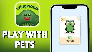 How To Play With Pets In Widgetable 2024 | Raise Your Pets On Widgetable | Full Guide
